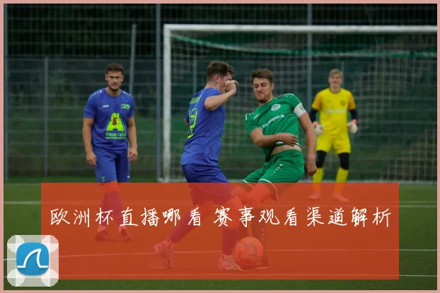 欧洲杯直播哪看 赛事观看渠道解析