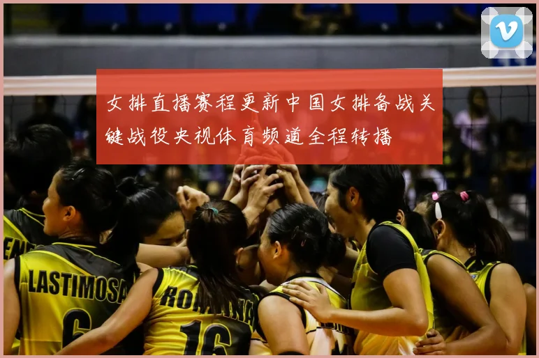 女排直播赛程更新中国女排备战关键战役央视体育频道全程转播