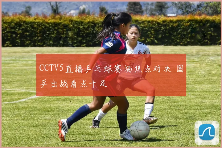 CCTV5直播乒乓球赛场焦点对决 国乒出战看点十足