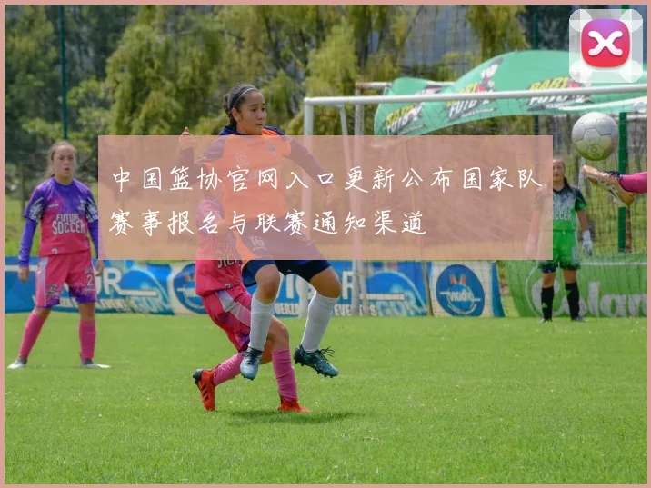 中国篮协官网入口更新公布国家队赛事报名与联赛通知渠道