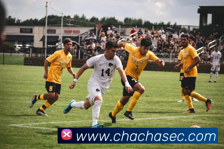 App Interface Preview